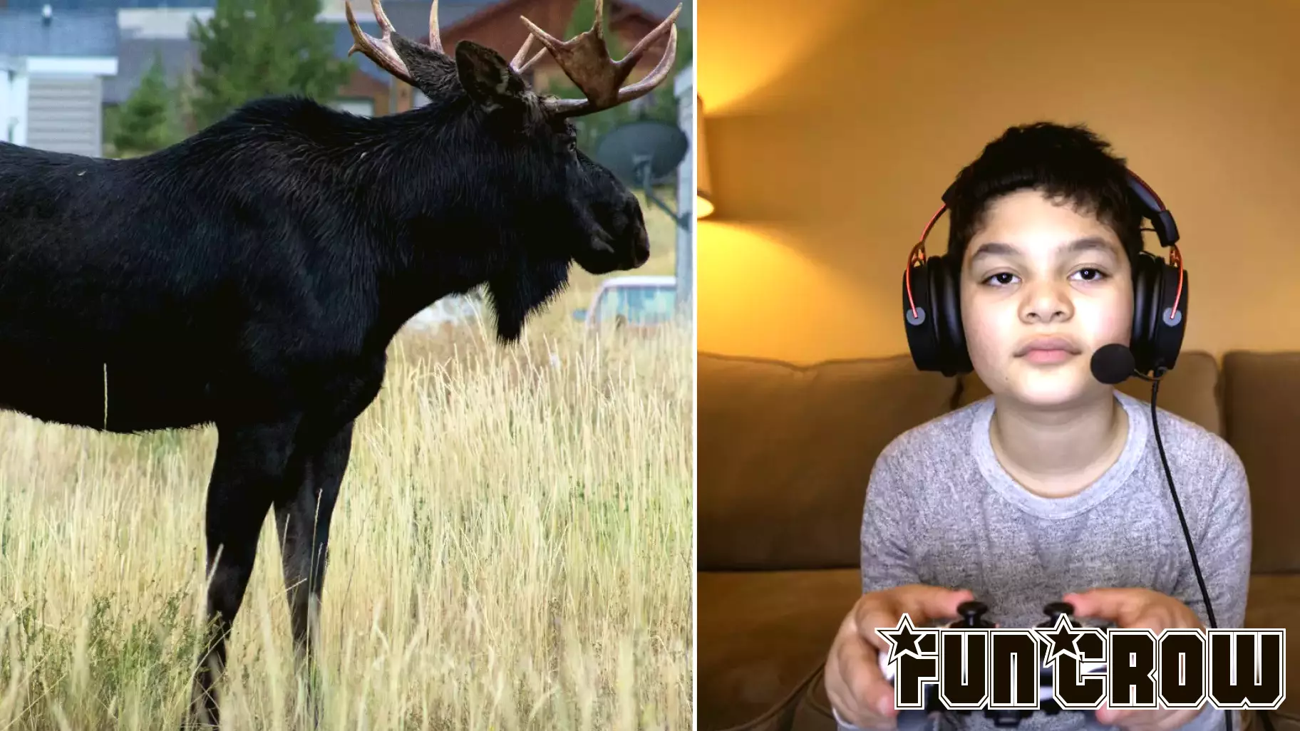 Moose charged at his sister. The 12-year-old remembered a trick from World of Warcraft.