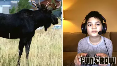 Moose charged at his sister. The 12-year-old remembered a trick from World of Warcraft.