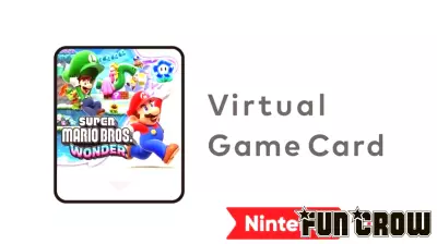The Rise of Shareable Digital Video Games